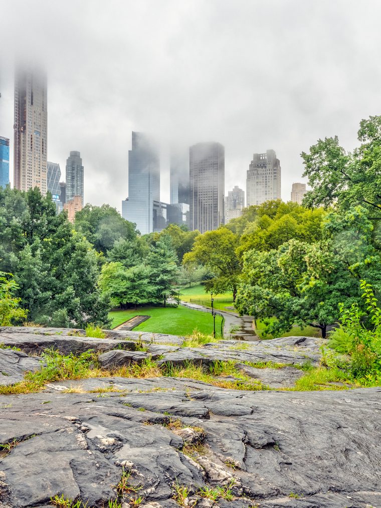 Central Park, Manhattan — park greenery with the midtown skyline