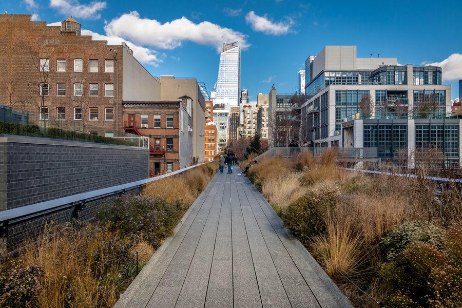 The elevated High Line park with wildflower plantings and the skyline